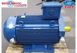 MOTOR ĐIỆN 3 PHA 380V TMX MALAYSIA