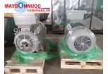 BẢNG GIÁ MOTOR SIEMENS - ĐỘNG CƠ ĐIỆN 3 PHA CHÂN ĐẾ GIÁ ĐẠI LÝ