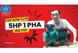 Máy Bơm Tưới Lưu Lượng Lớn 5HP Và 5.5HP Giá Tốt 2025