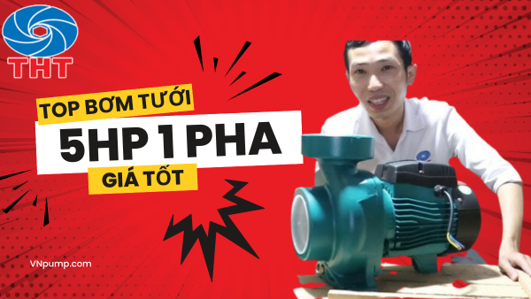 Máy Bơm Tưới Lưu Lượng Lớn 5HP Và 5.5HP Giá Tốt 2025