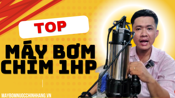 Bảng Giá Máy Bơm Chìm - Bơm Tõm 1 Ngựa 1HP 2025