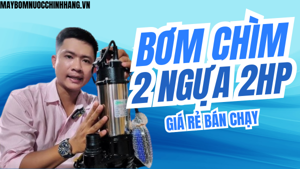 Bảng Giá Bơm Chìm 2 Ngựa 2HP-1.5Kw 1Pha Giá Rẻ 2025