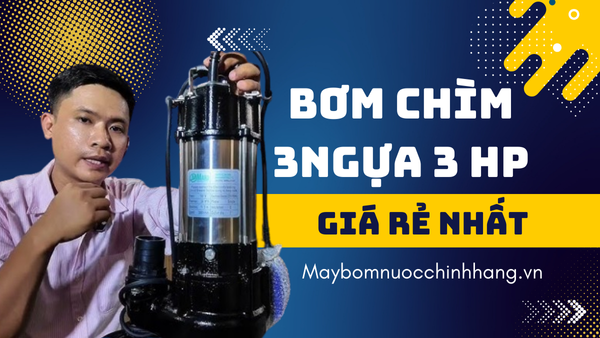 Bảng Giá Máy Bơm Chìm 3HP – 2.2Kw 1 Pha 220V 2025