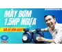 Bảng Giá Máy Bơm Nước 1.5HP 1 Ngựa Rưởi Giá Rẻ 2025