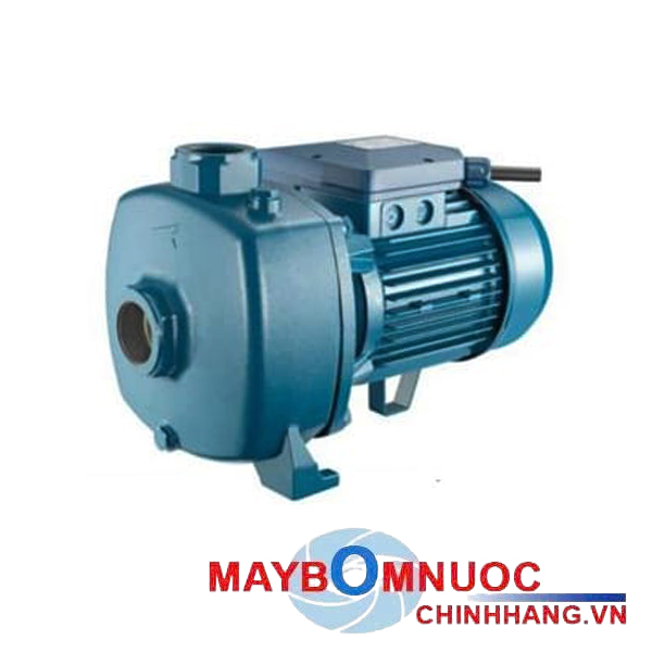 Máy bơm lưu lượng lớn CH, CRT CS: