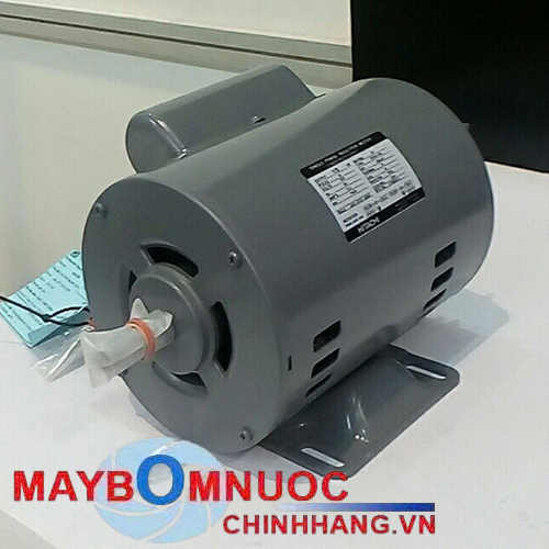 Motor điện Hitachi