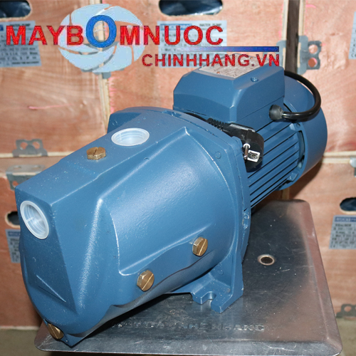 Bơm tự mồi đầu con lợn Lucky Pro