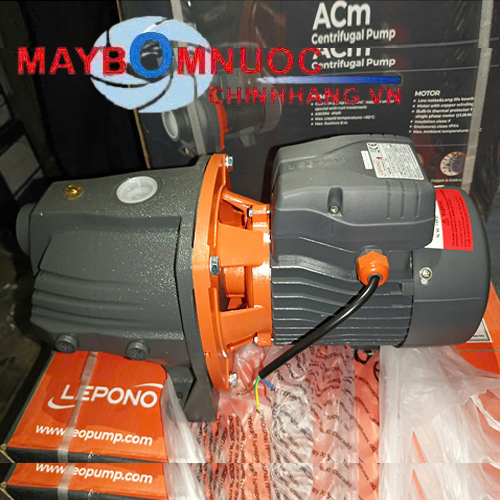 Bơm tự hút đầu con lợn Lepono