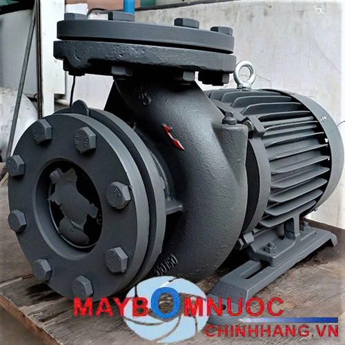 bơm ly tâm trục ngang đầu inox GSD