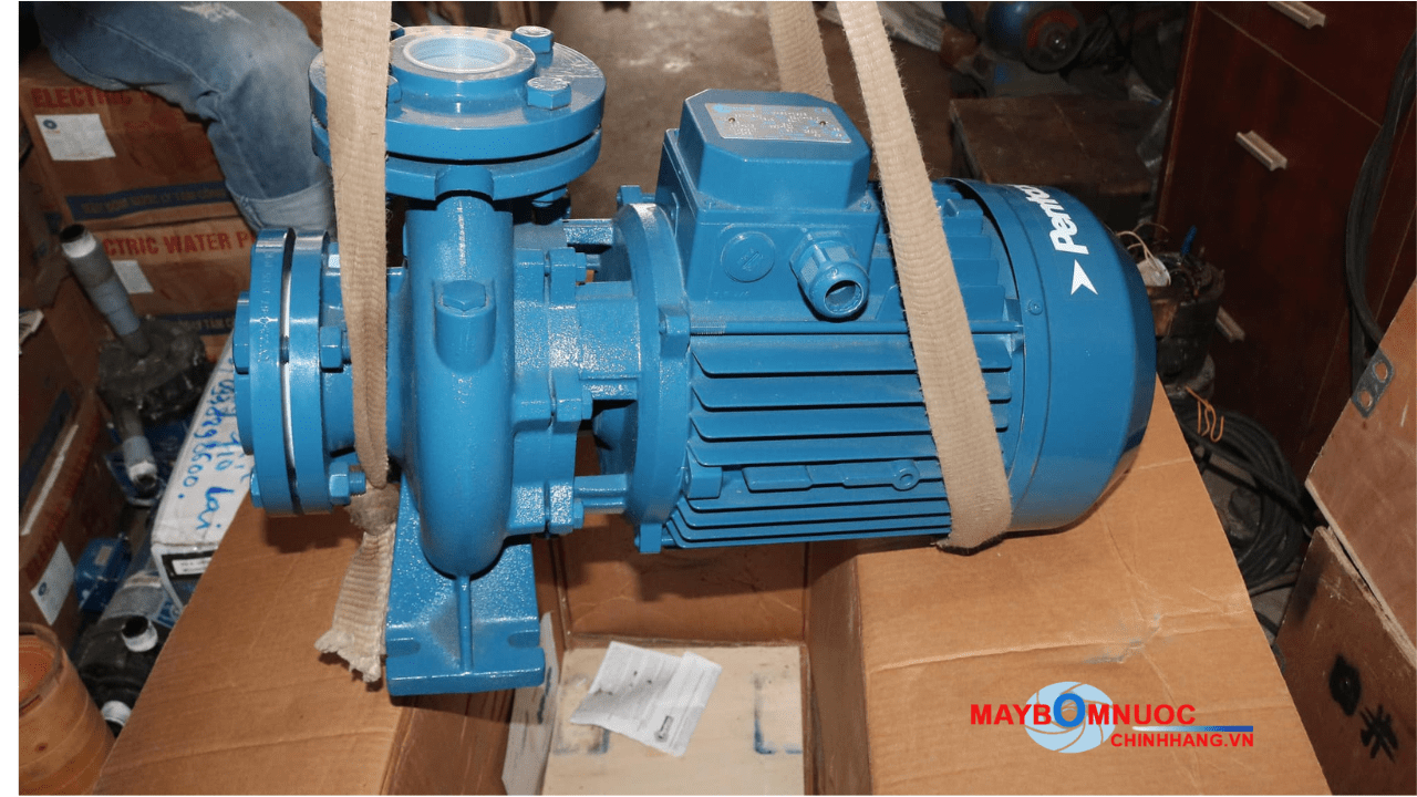 bơm ly tâm trục ngang đầu gang Pentax CM bơm ly tâm trục ngang đầu gang Pentax CM