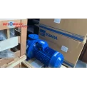 Bơm ly tâm trục ngang đầu gang Ebara 3D 65-200/15 20HP