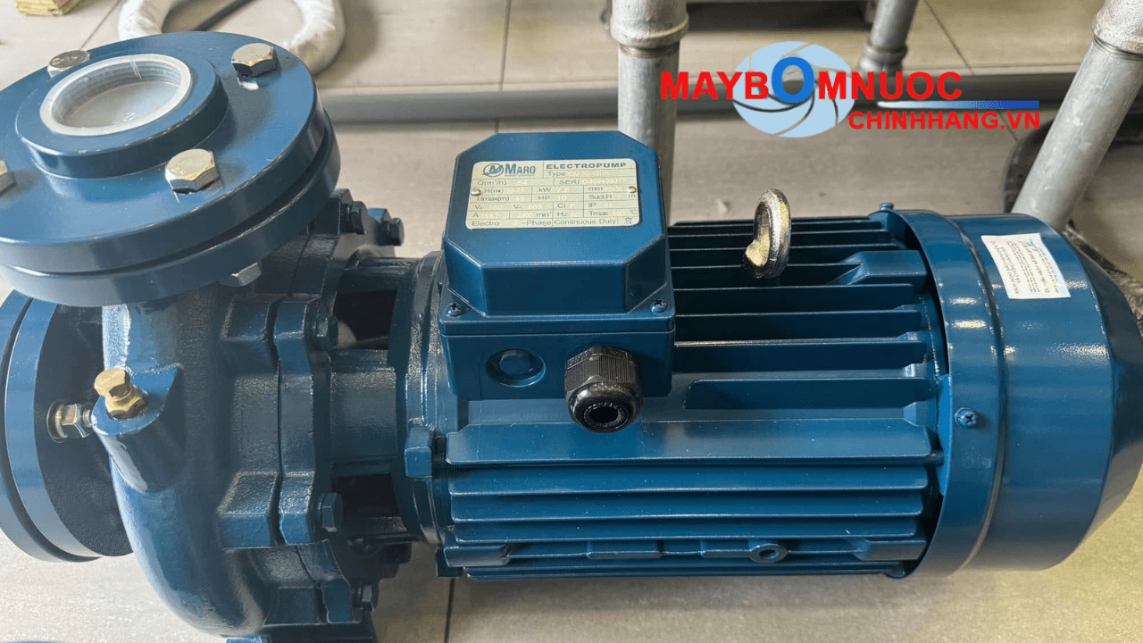 Phụ tùng phớt bơm Maro chính hãng