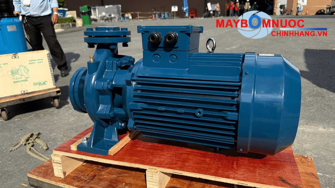 Các dòng bơm Maro CM đa dạng model