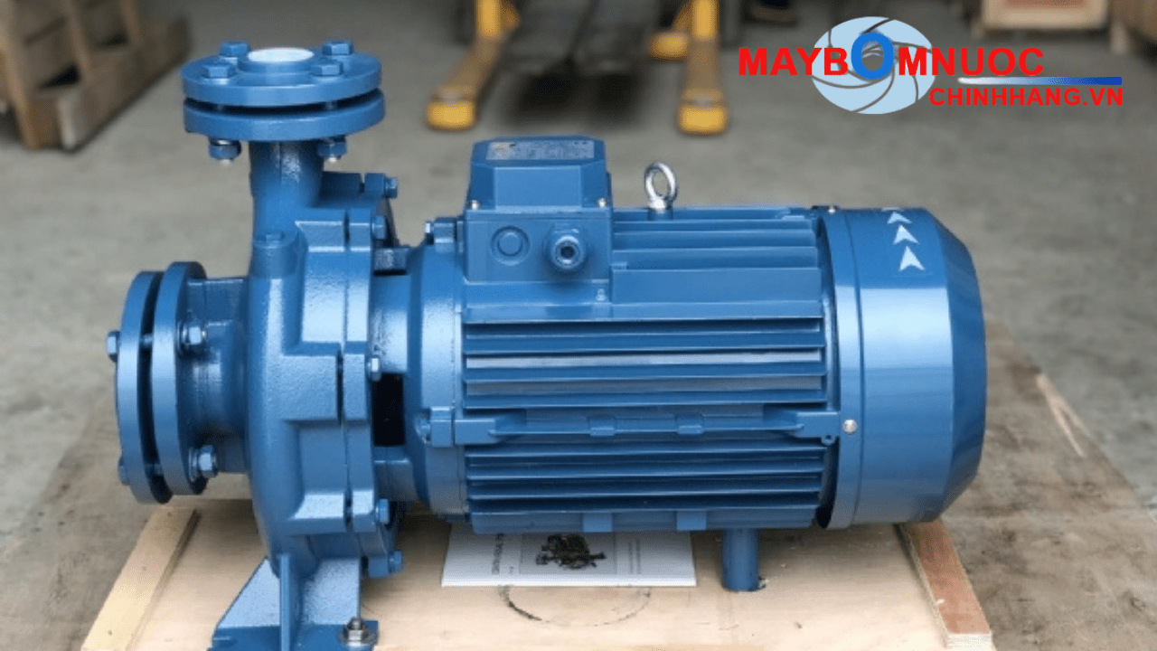 Bảo dưỡng kỹ thuật bơm Maro