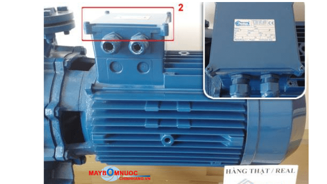 HÌNH ẢNH PHÂN BIỆT BƠM PENTAX CM THẬT - GIẢ