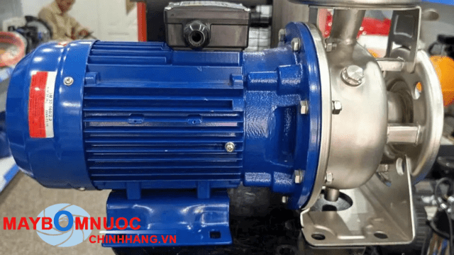 Liên hệ mua bơm Maro chính hãng