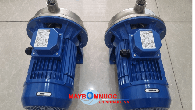 Động cơ điện bơm Ebara