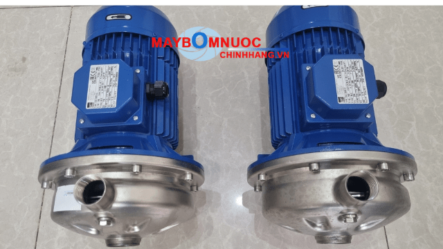 Tem thông số máy bơm Ebara