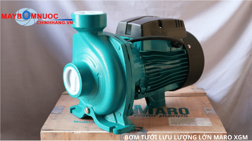 Cấu tạo chi tiết động cơ và buồng bơm Maro XGM