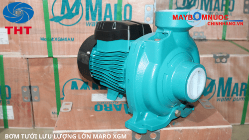 Biểu đồ hiệu suất máy bơm Maro XGM
