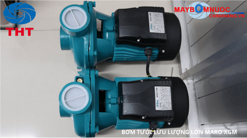 Kho hàng máy bơm Maro tại Thuận Hiệp Thành