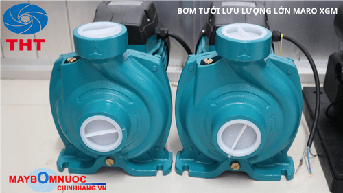 Bơm nước vệ sinh chuồng trại chăn nuôi