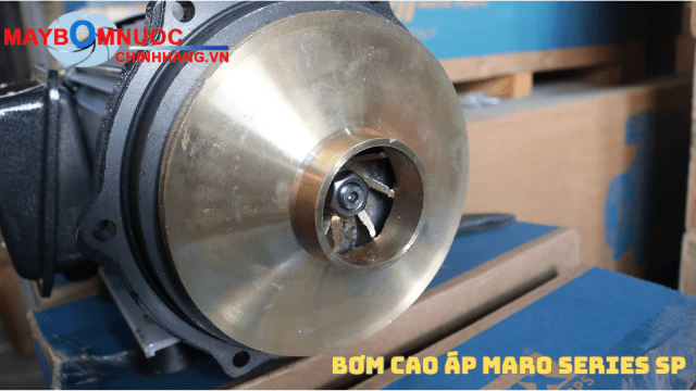 Hiệu suất máy bơm Maro SP