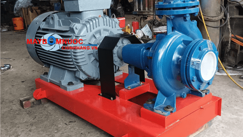 Kỹ thuật viên kiểm tra máy bơm