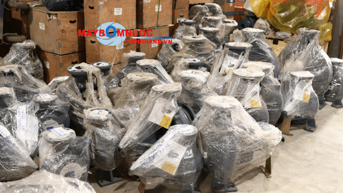 So sánh bơm Ebara GS