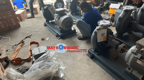 Thông số kỹ thuật Ebara GS