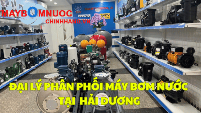 Đại Lý Phân Phối Máy Bơm Nước Tại Hải Dương