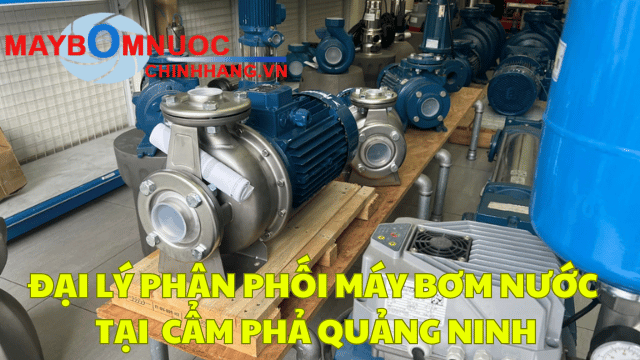 Đại Lý Phân Phối Máy Bơm Nước Tại Cẩm Phả (Quảng Ninh)