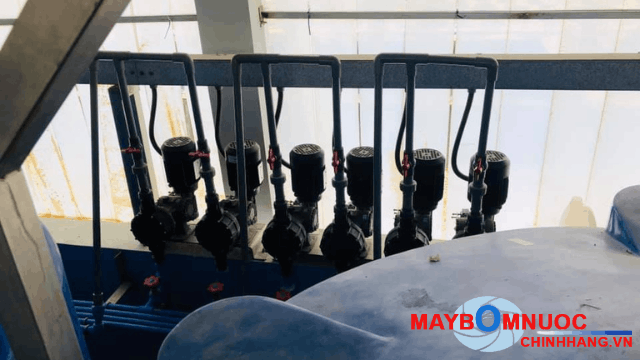 Đóng gói bơm OBL giao khách