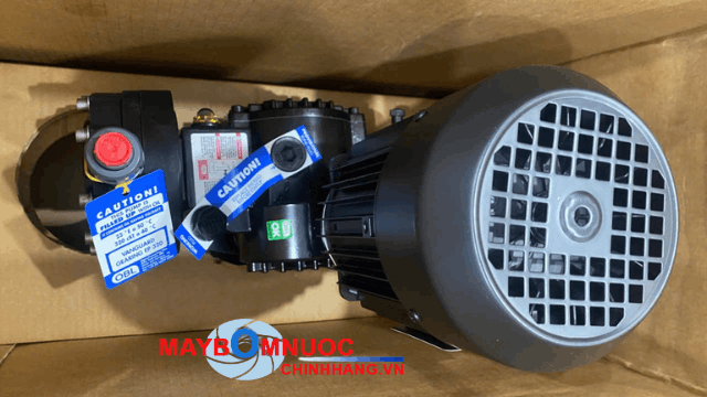 Bơm OBL model lớn