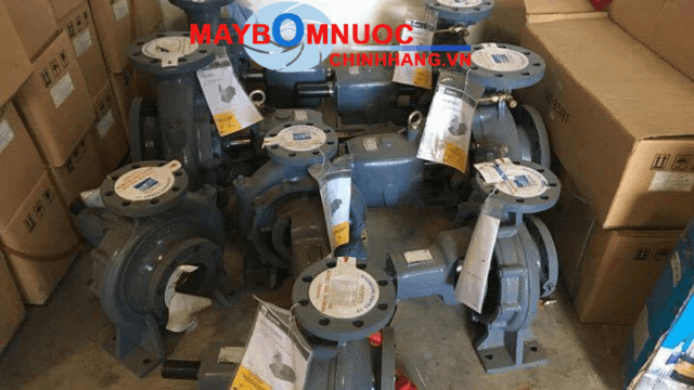 Đầu bơm rời trục Ebara 80x65 FSKA chính hãng Indonesia