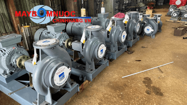 Kho hàng máy bơm Ebara lớn nhất tại Thuận Hiệp Thành