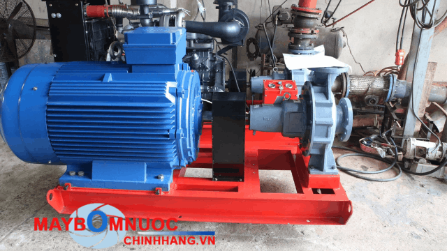 Đầu bơm Ebara sơn màu xanh đặc trưng