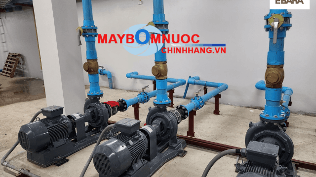 Cánh bơm bằng đồng của đầu bơm Ebara