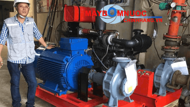 Lắp đặt cụm bơm Ebara trên bệ đế thép