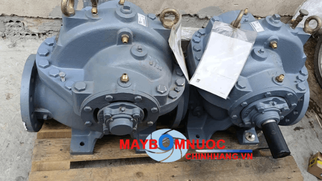 Kỹ thuật viên kiểm tra bơm Ebara