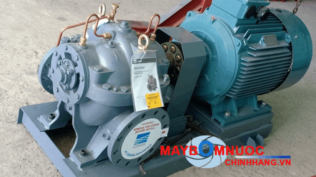 Bơm Ebara nhập khẩu