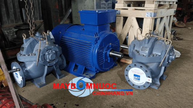 Tem bơm chính hãng Ebara