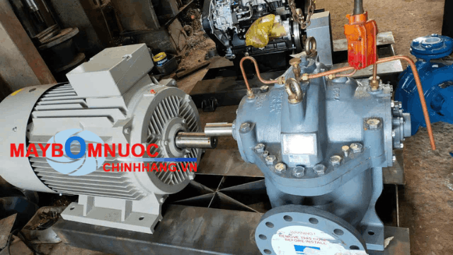 Đầu bơm Ebara màu xanh đặc trưng