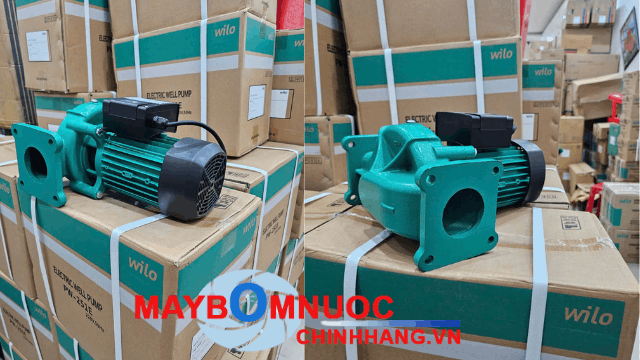 Bơm Wilo PH 254E lắp đặt thực tế