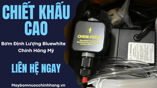 Đại lý bơm Blue White Thuận Hiệp Thành