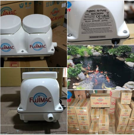 Ứng dụng máy thổi khí Fujimac trong nuôi trồng thủy sản
