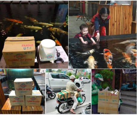 Phụ kiện máy thổi khí Fujimac