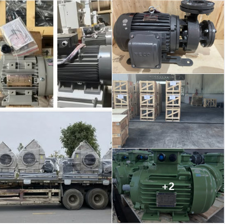 Độ bền Motor Teco