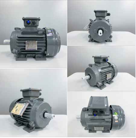 Catalogue Motor Teco