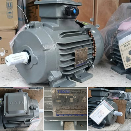 Thông số kỹ thuật Motor Teco